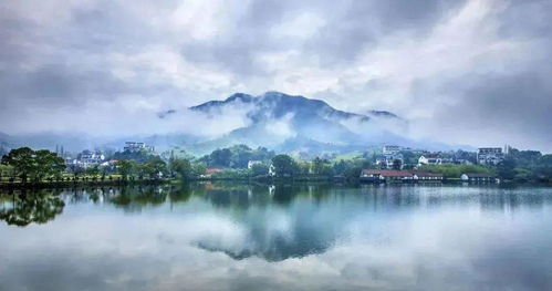 大數據洞察 莫干山民宿產業布局、產品趨勢與杭州旅游聯動發展