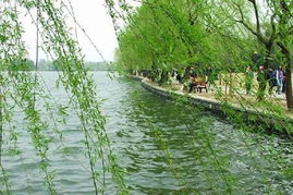 杭州宋城千古情1日游特價專列，限時搶購僅此一班